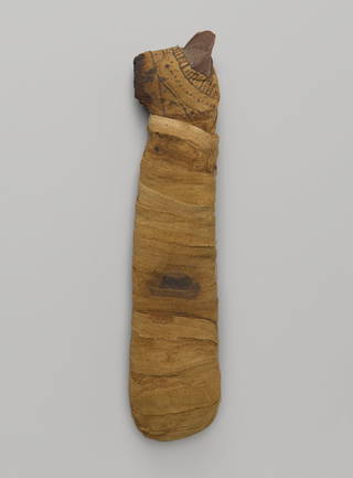 Mummified Cat