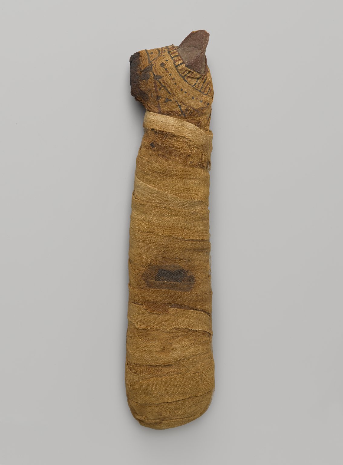 Mummified Cat