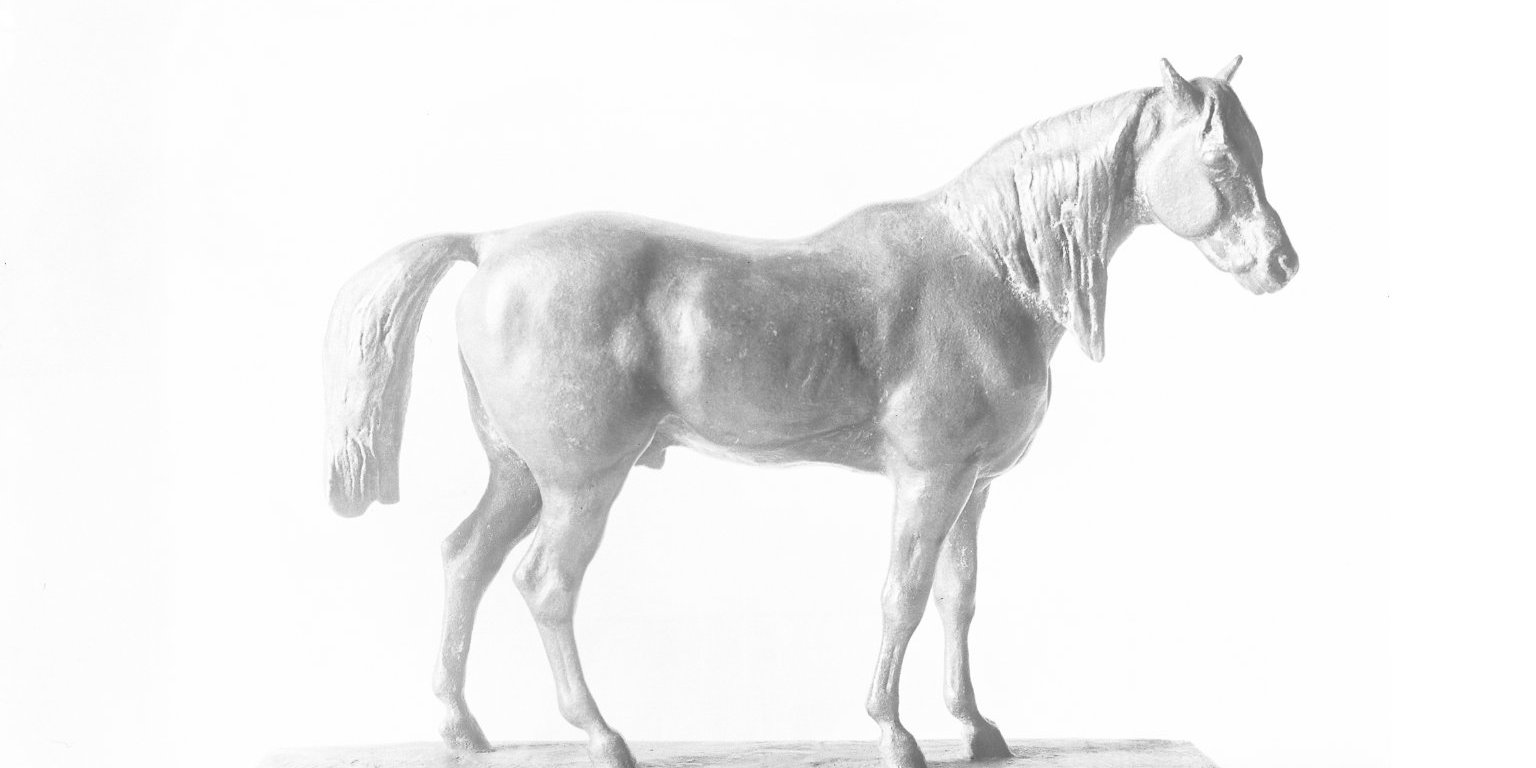 half-blood-horse-with-raised-head-brooklyn-museum