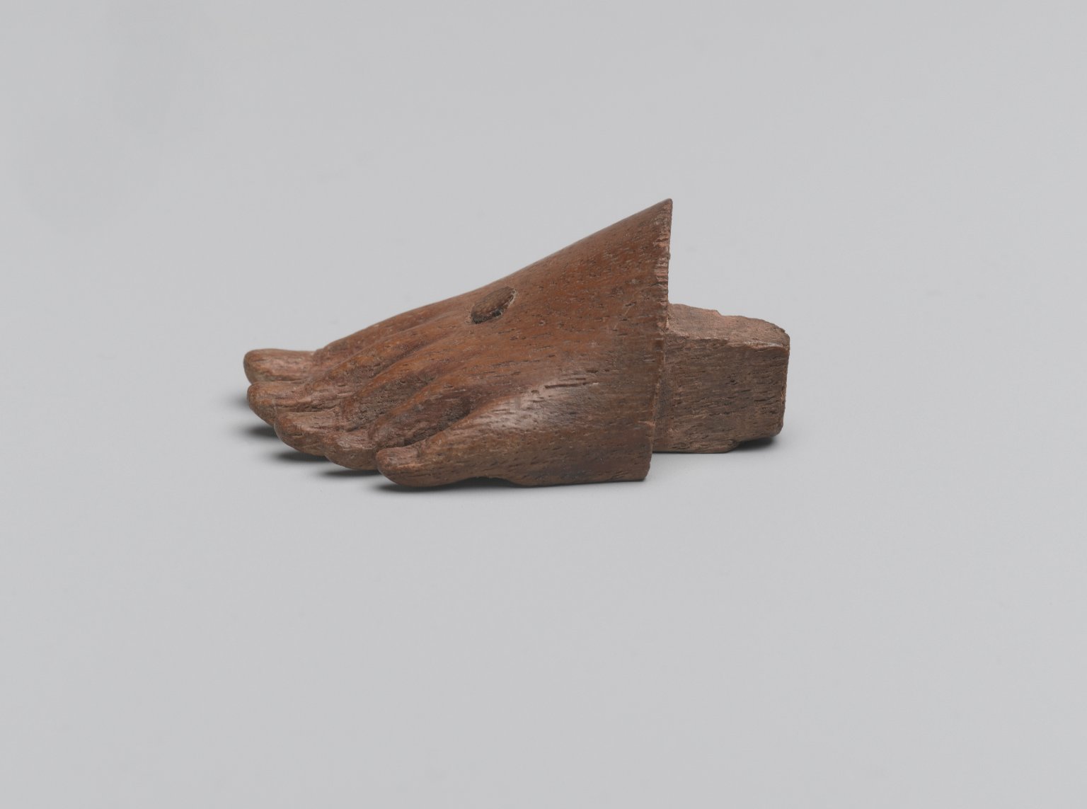 Front Part of Left Foot