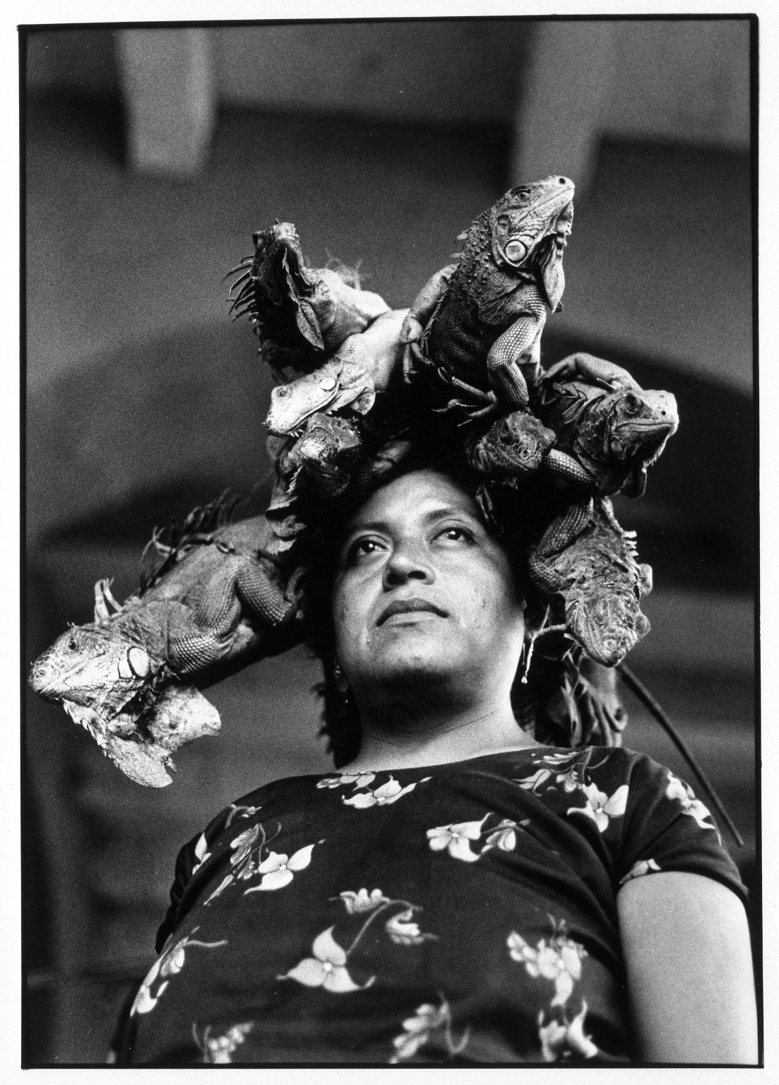 Graciela Iturbide Juchitan  グラシエラ・イトゥルビデ Graciela Iturbide | Nuestra Señora de las Iguanas (1996