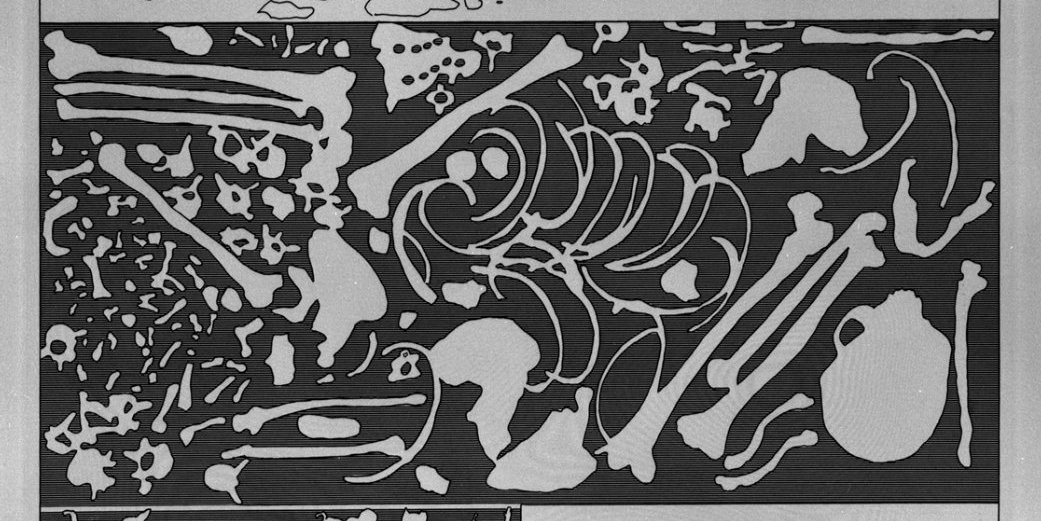 Evolutionary Chart · Brooklyn Museum