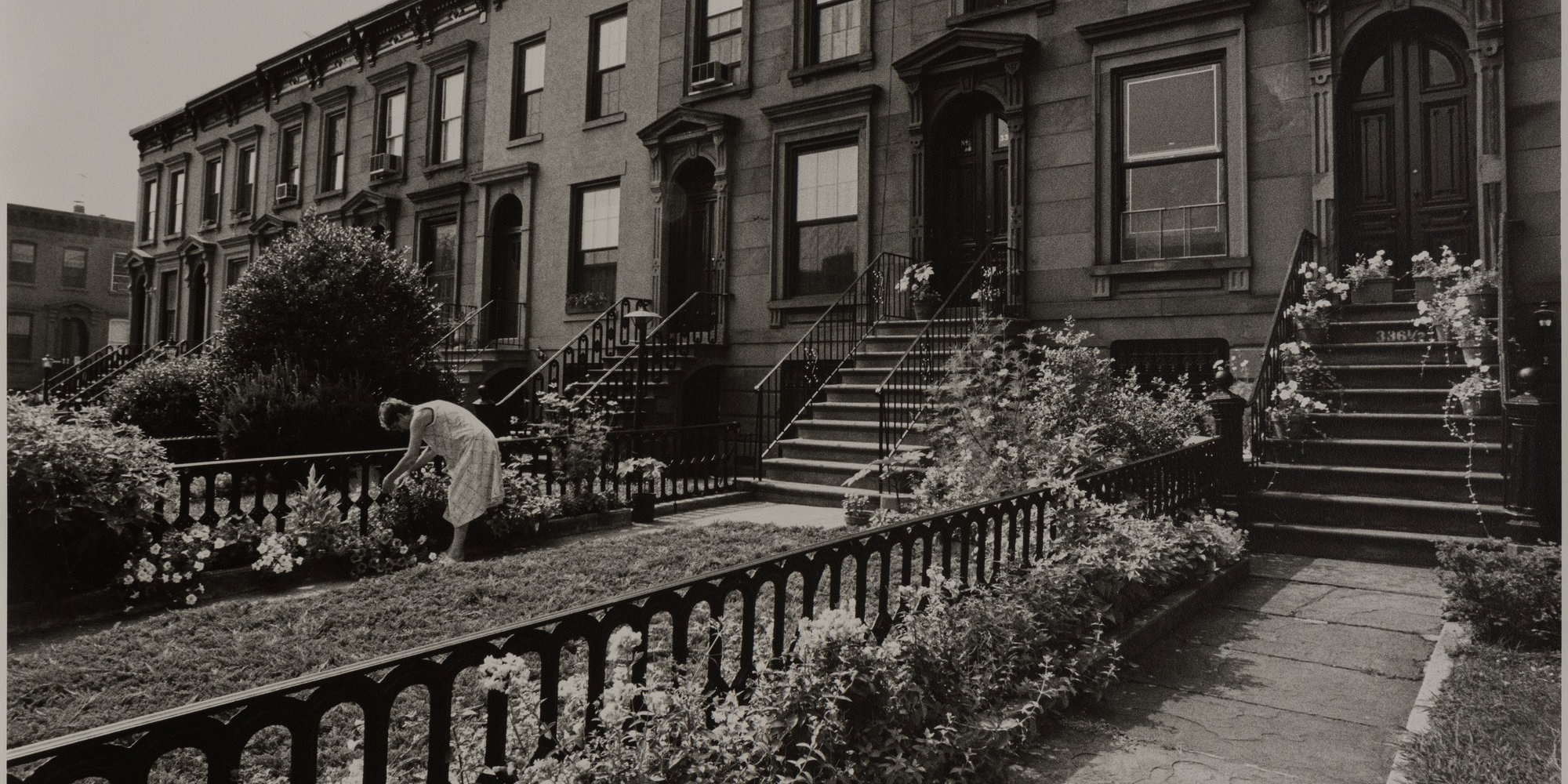 Carroll Street Brooklyn Ny