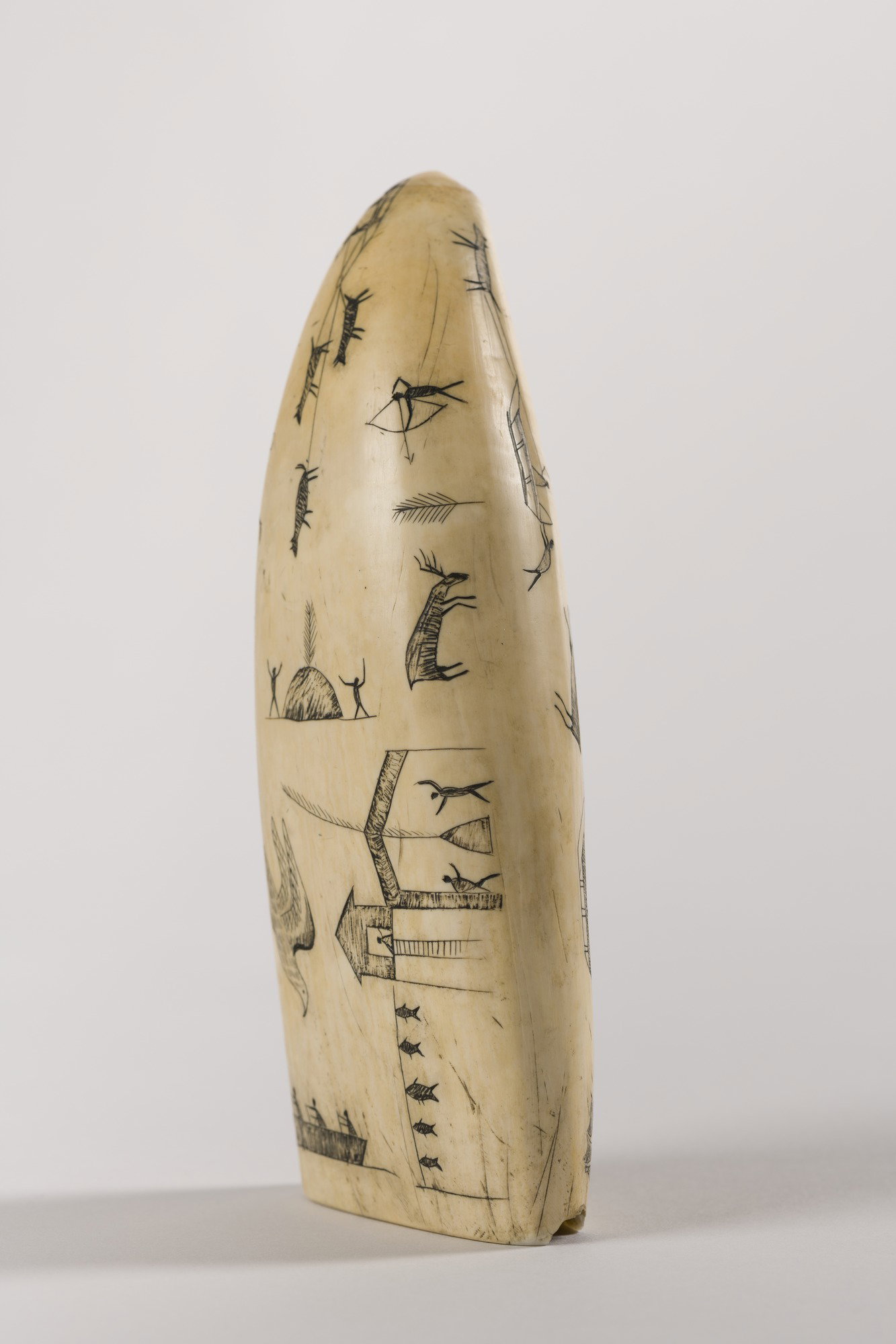 Engraved Whale Tooth · Brooklyn Museum