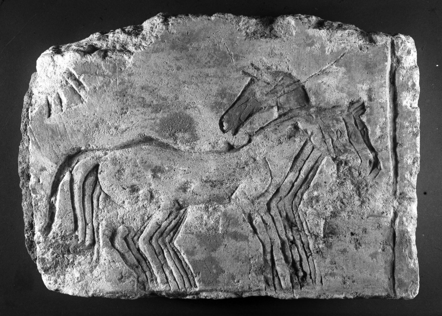 Relief Fragment with Horses
