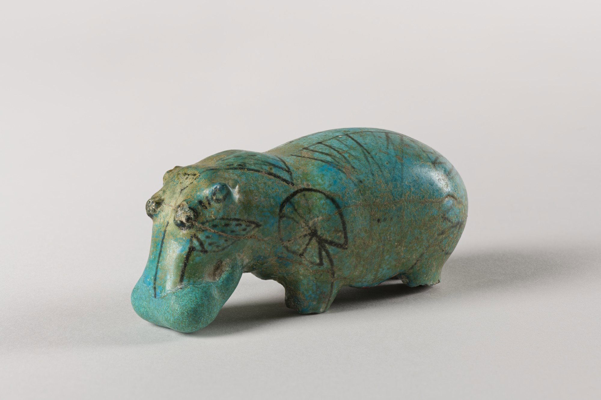 Hippopotamus