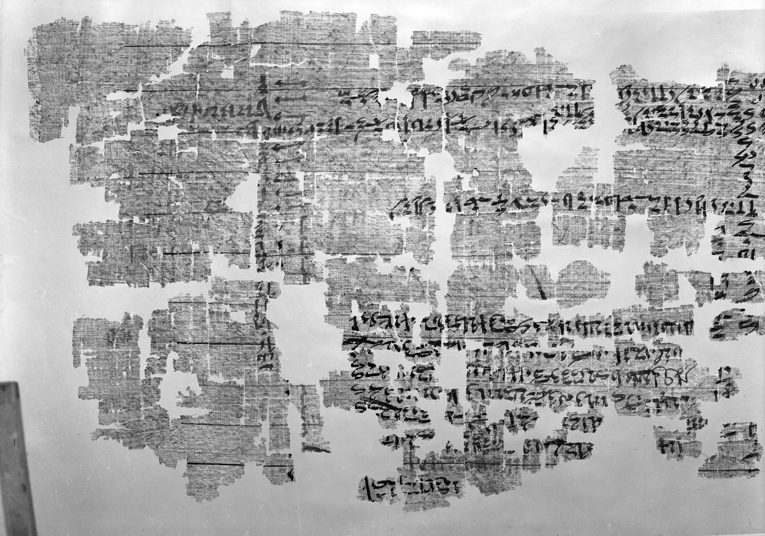 Portion of a Historical Text · Brooklyn Museum