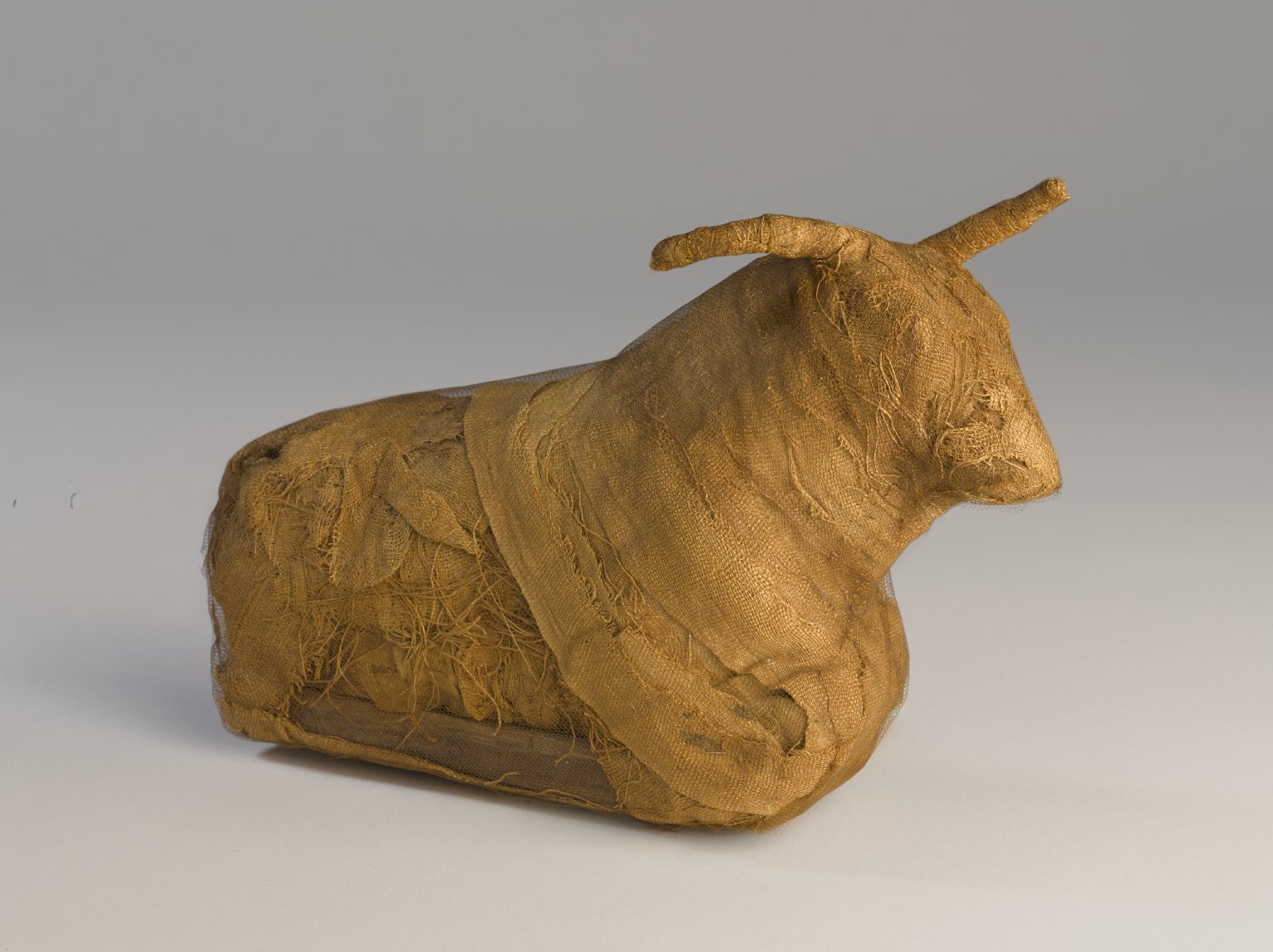 Model of a Bull