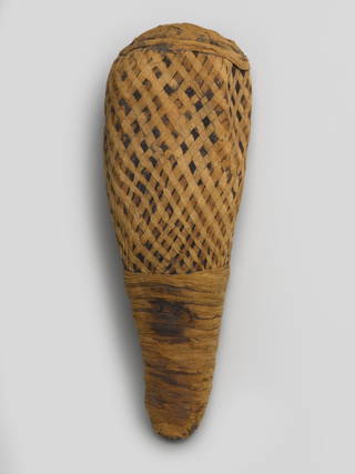 Ibis Mummy