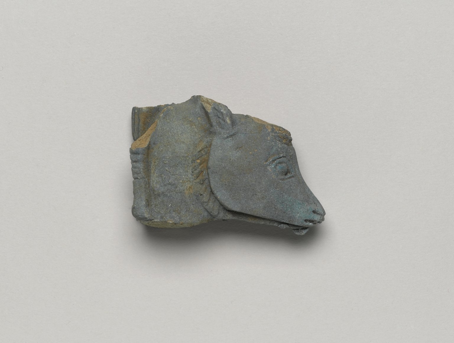 Head of a Cow