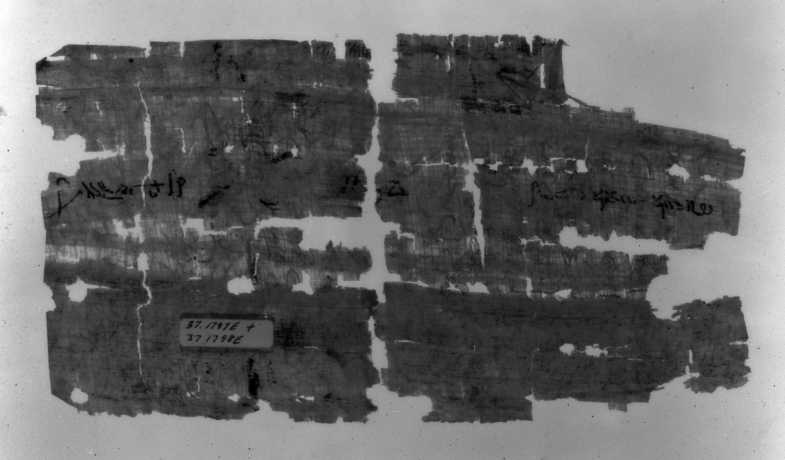 Papyrus Fragments Inscribed in Demotic