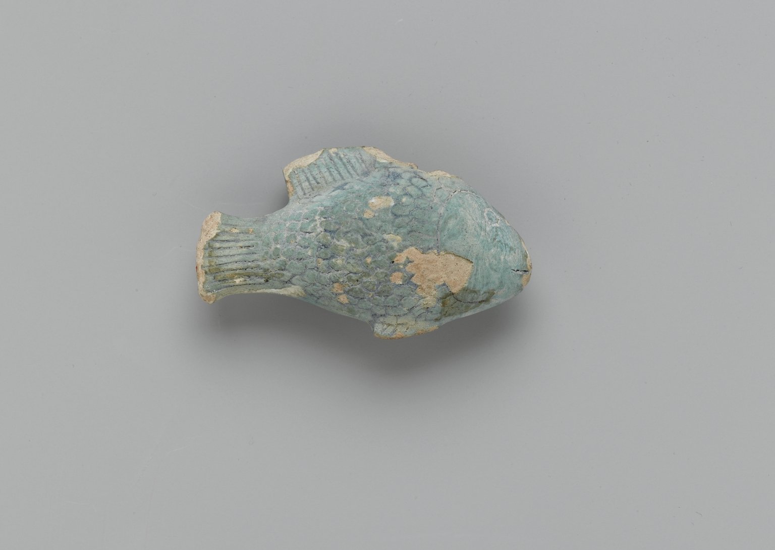 Small Fish