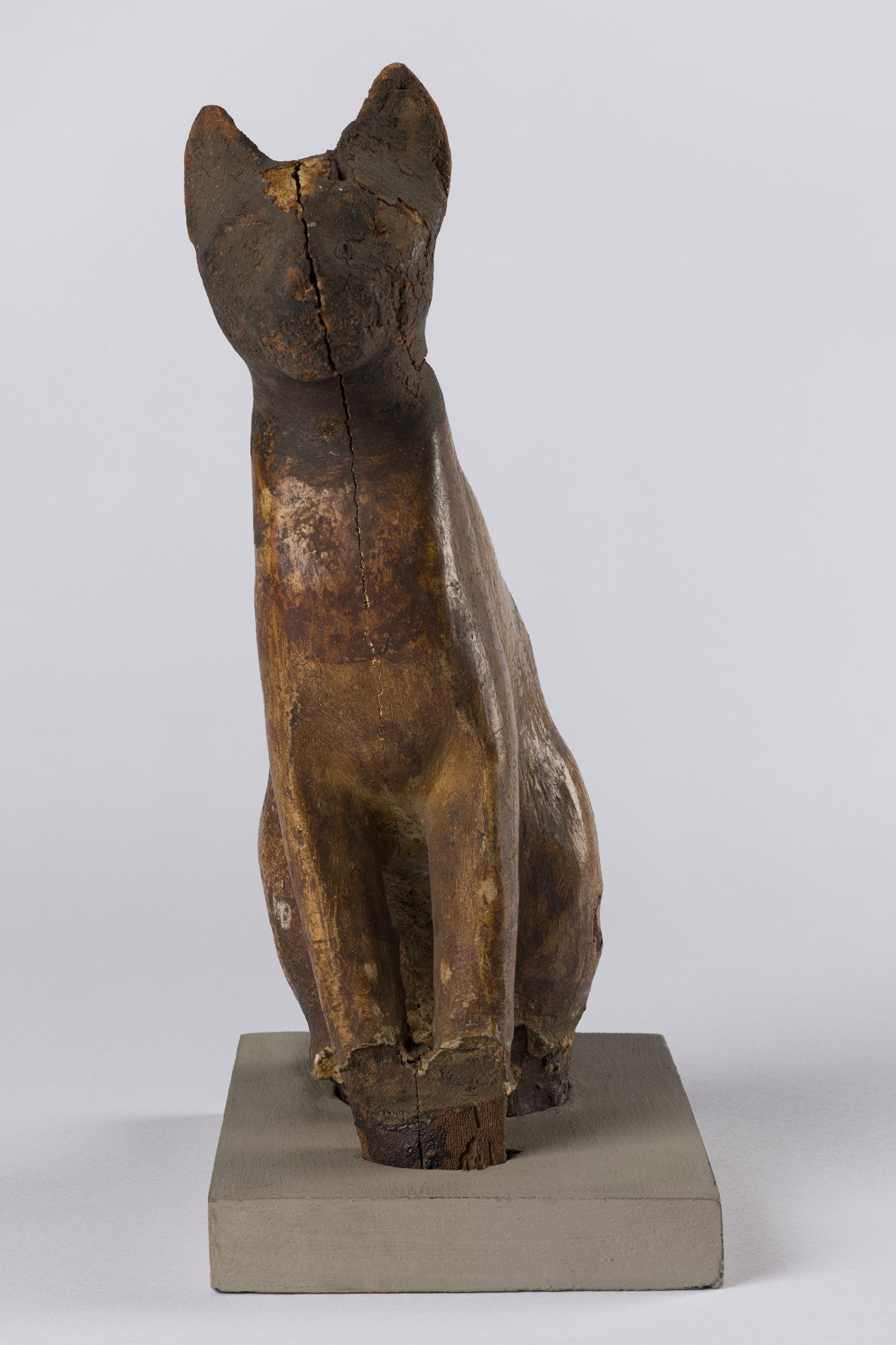 Cat Coffin with Mummy