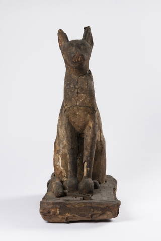Cat Coffin with Mummy