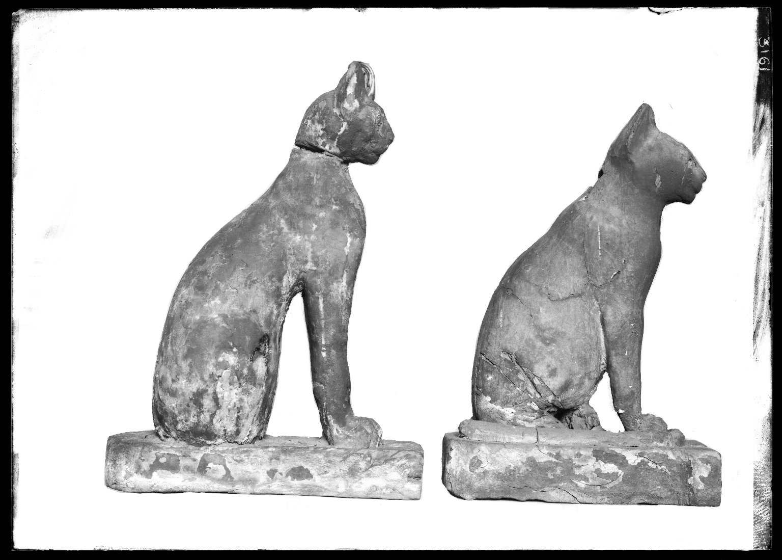 Cat Coffin