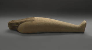 Mummified Ibis