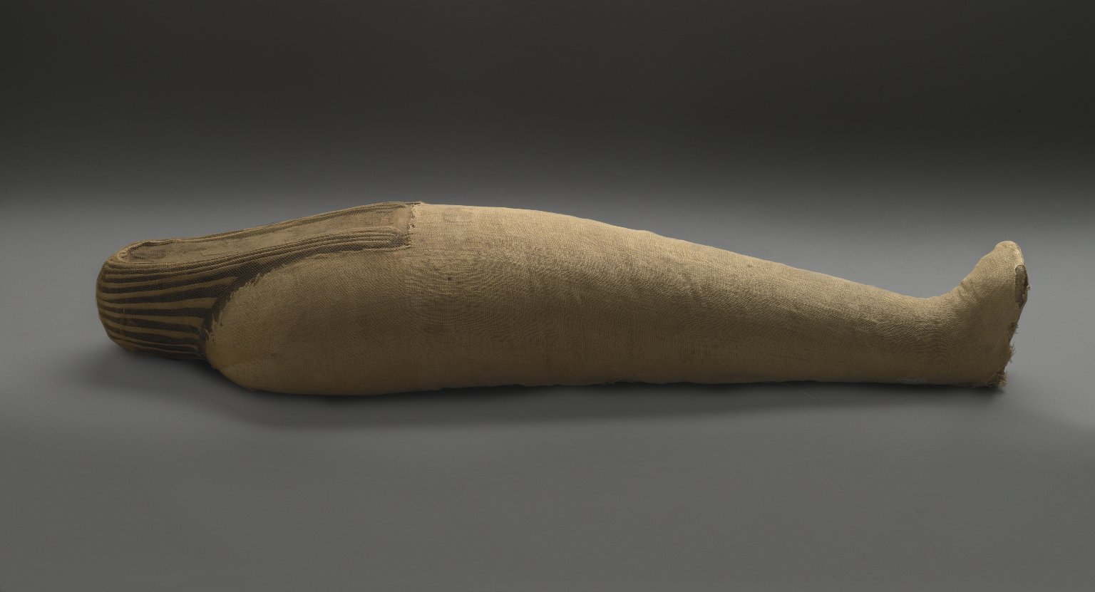 Mummified Ibis