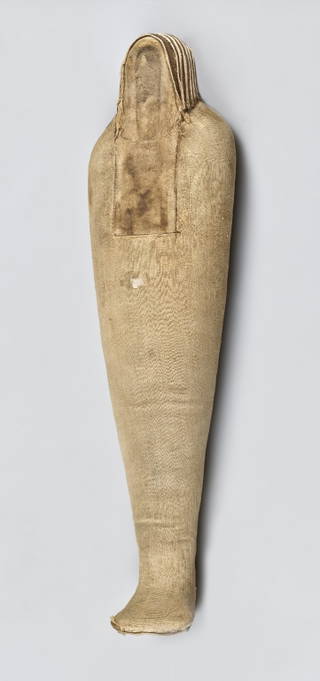 Ibis-Form Shrew Mummy