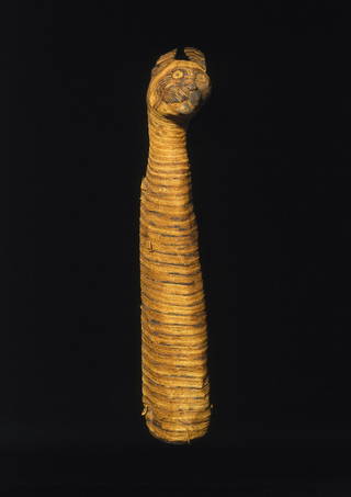 Mummified Cat