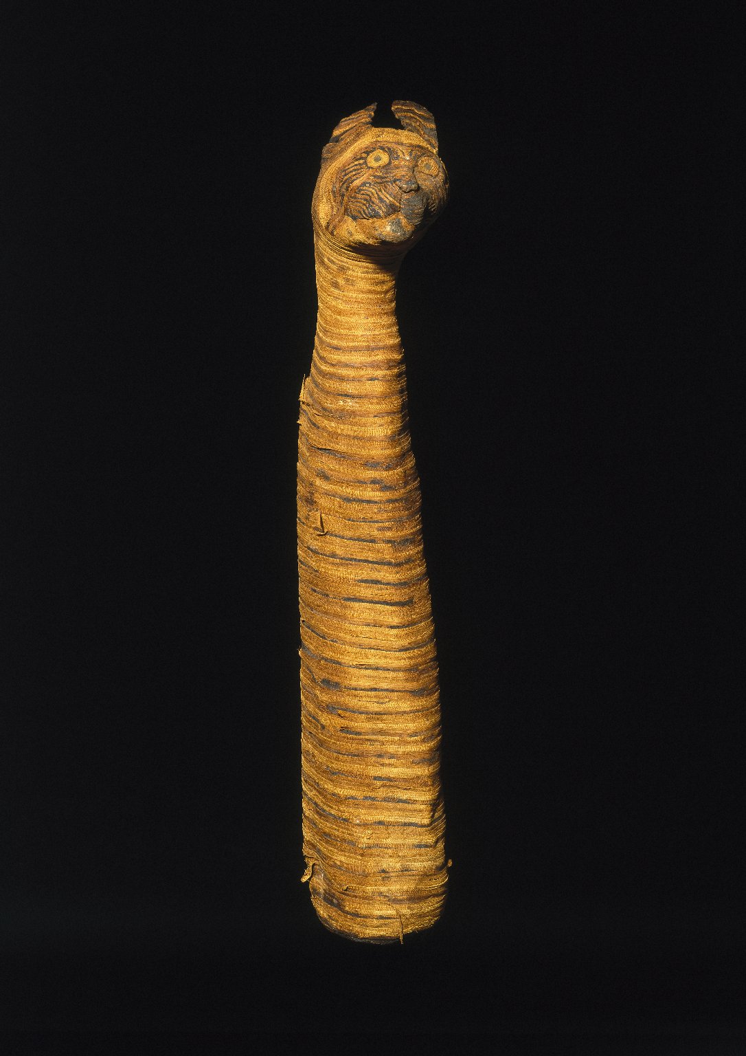 Mummified Cat