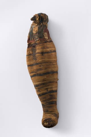 Ibis Mummy