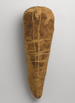 Ibis Mummy