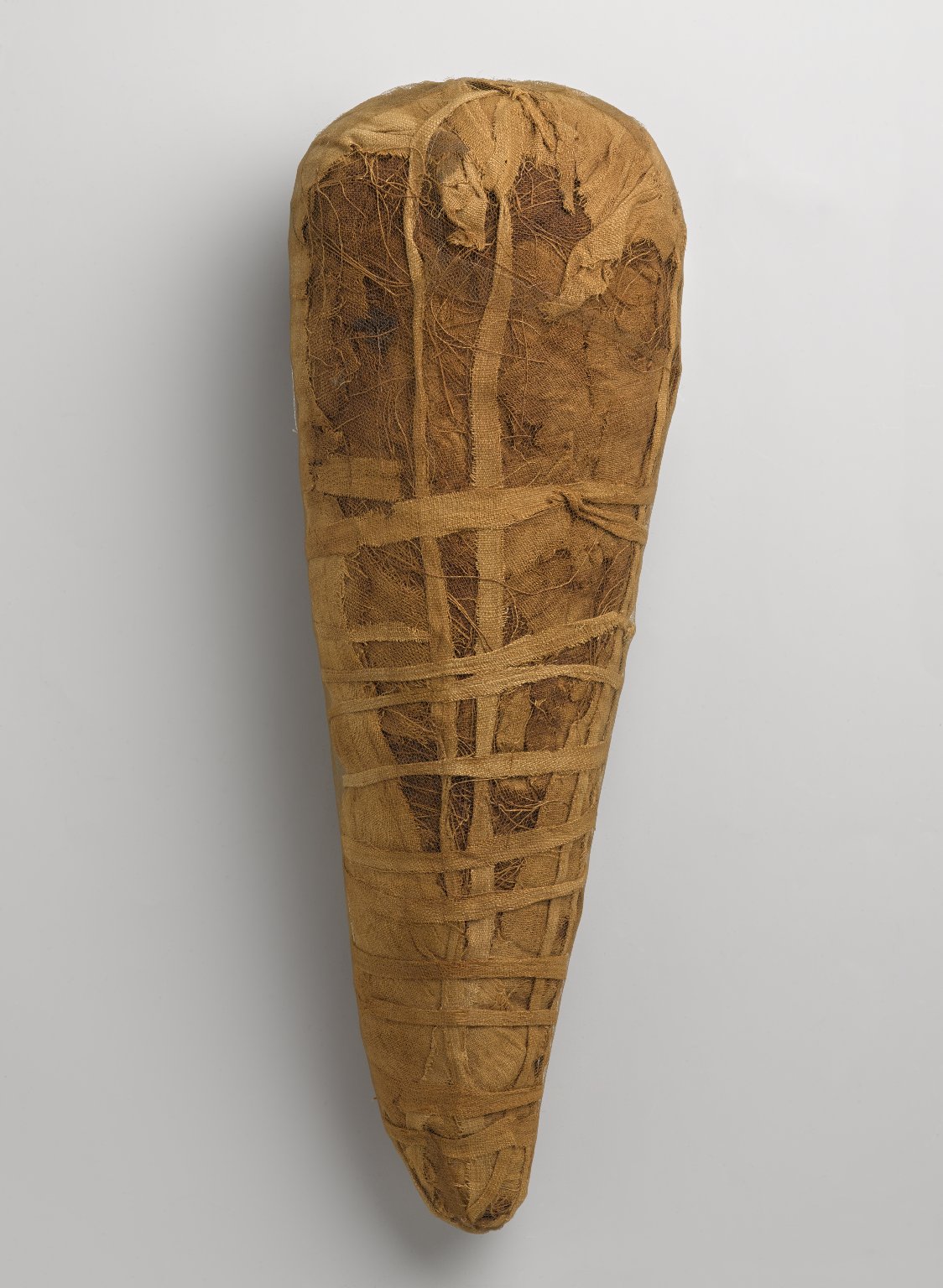 Ibis Mummy