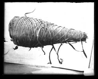 Ibis Mummy