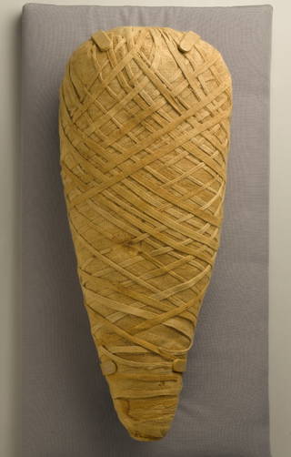 Ibis Mummy