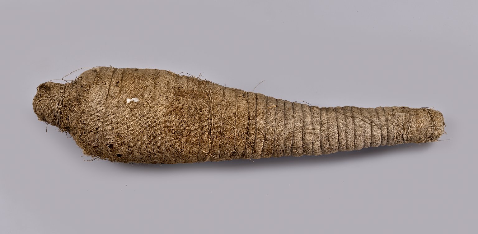 Hawk Mummy