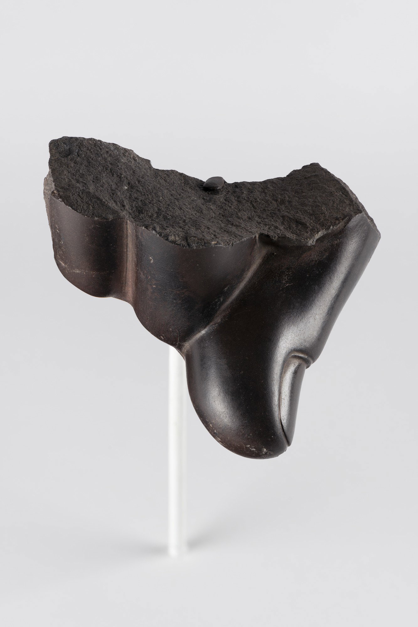 Fragment of a Hand From a Colossal Statue