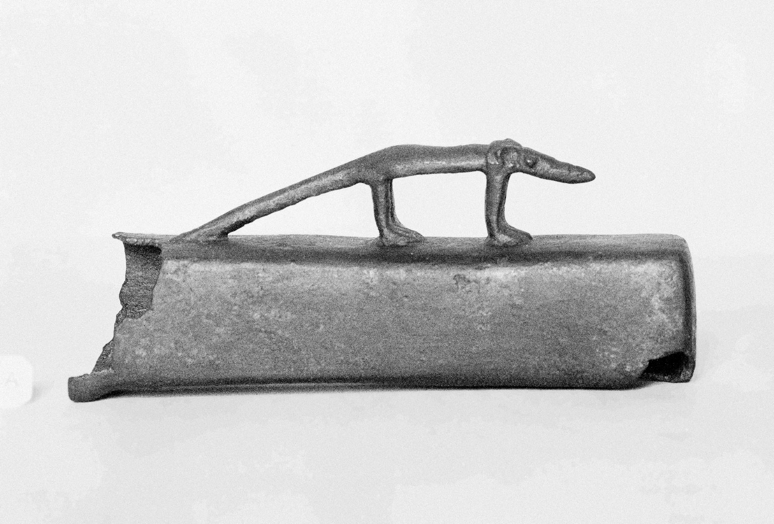 Small Coffin for a Mummified Shrew