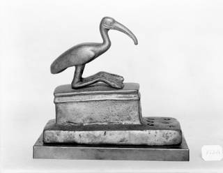 Ibis Coffin