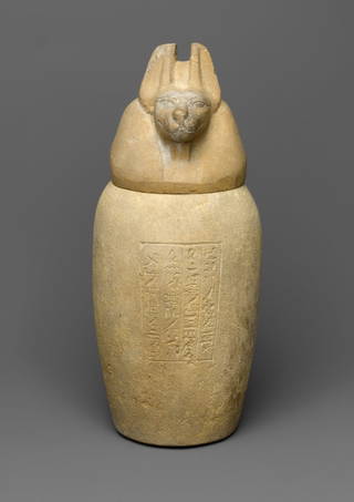 Canopic Jar and Lid (Depicting a Jackal)