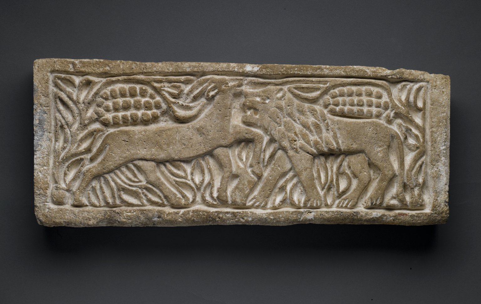 Lion Attacking an Antelope