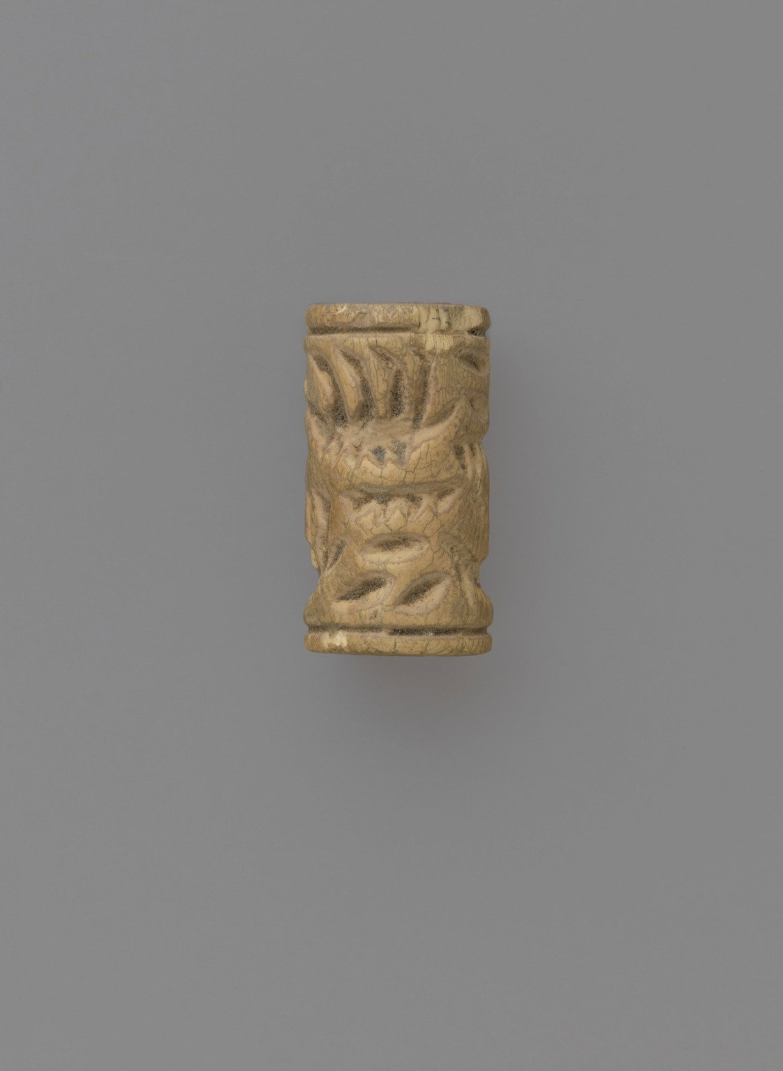 Cylinder Seal