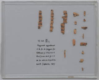 Snakebite Papyrus