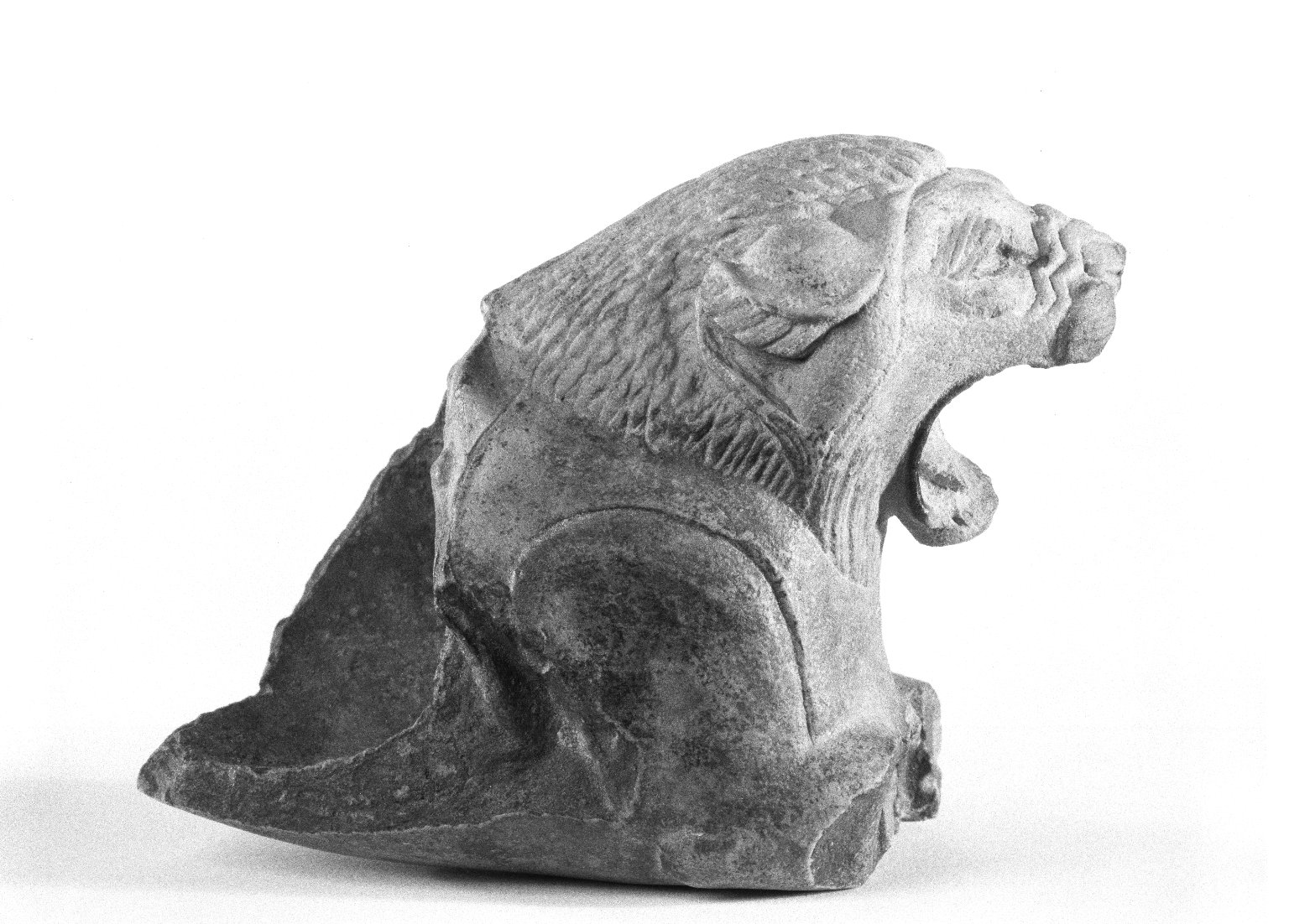 Lion Head from a Ritual Vessel