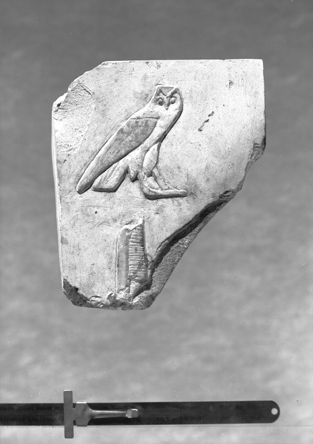Relief Fragment with Owl