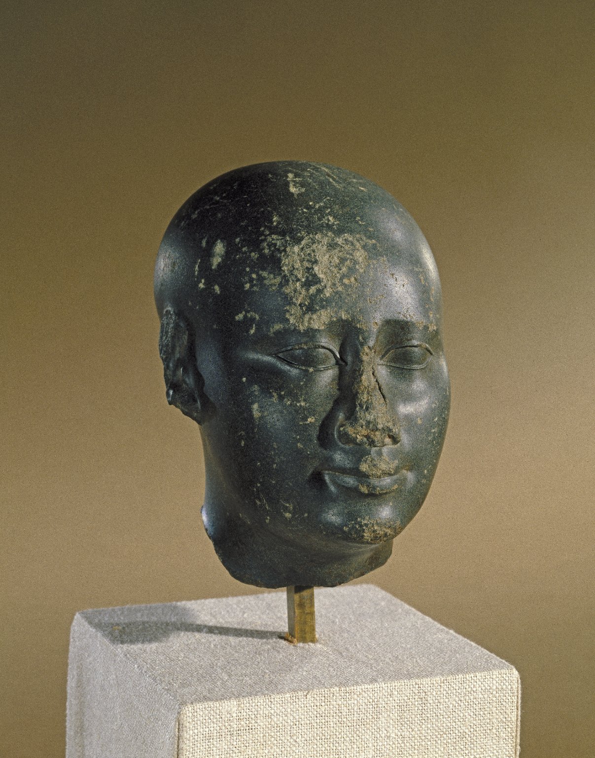 Idealized Head