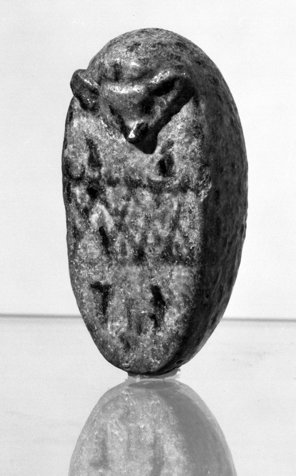 Hedgehog Rattle