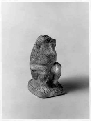 Baboon