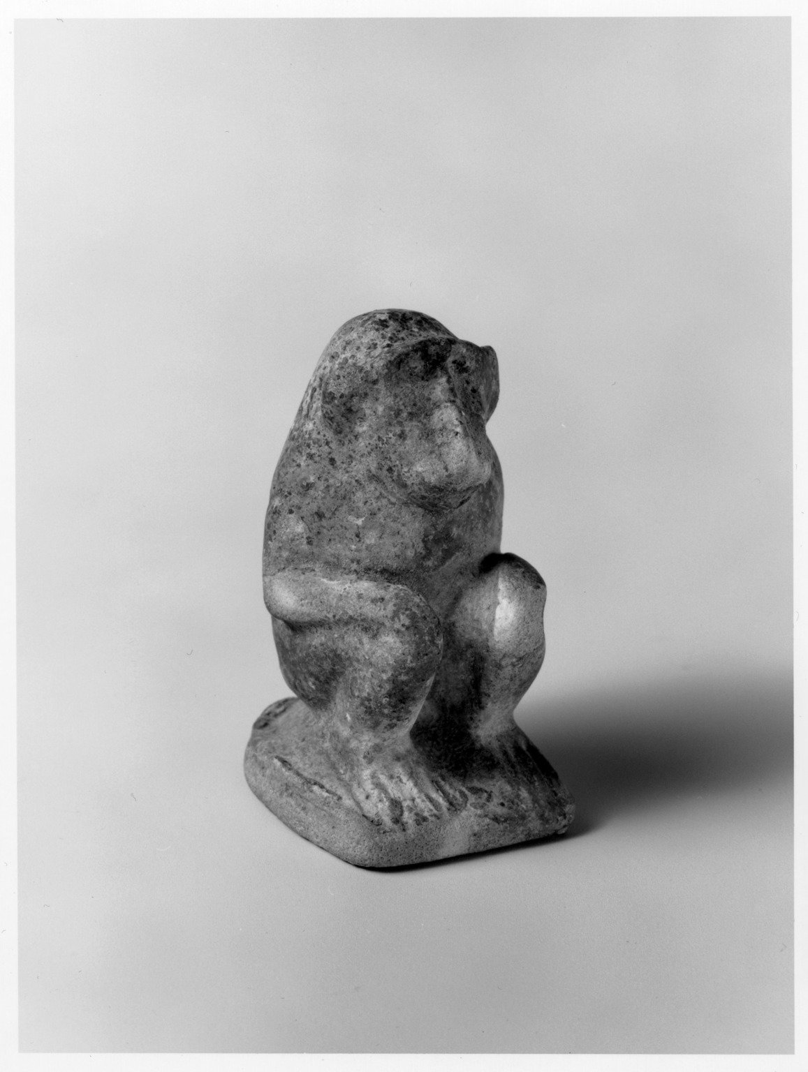 Baboon