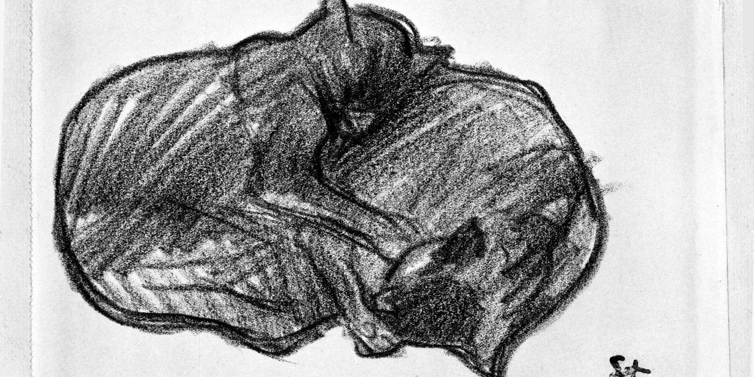 Two Sleeping Cats · Brooklyn Museum