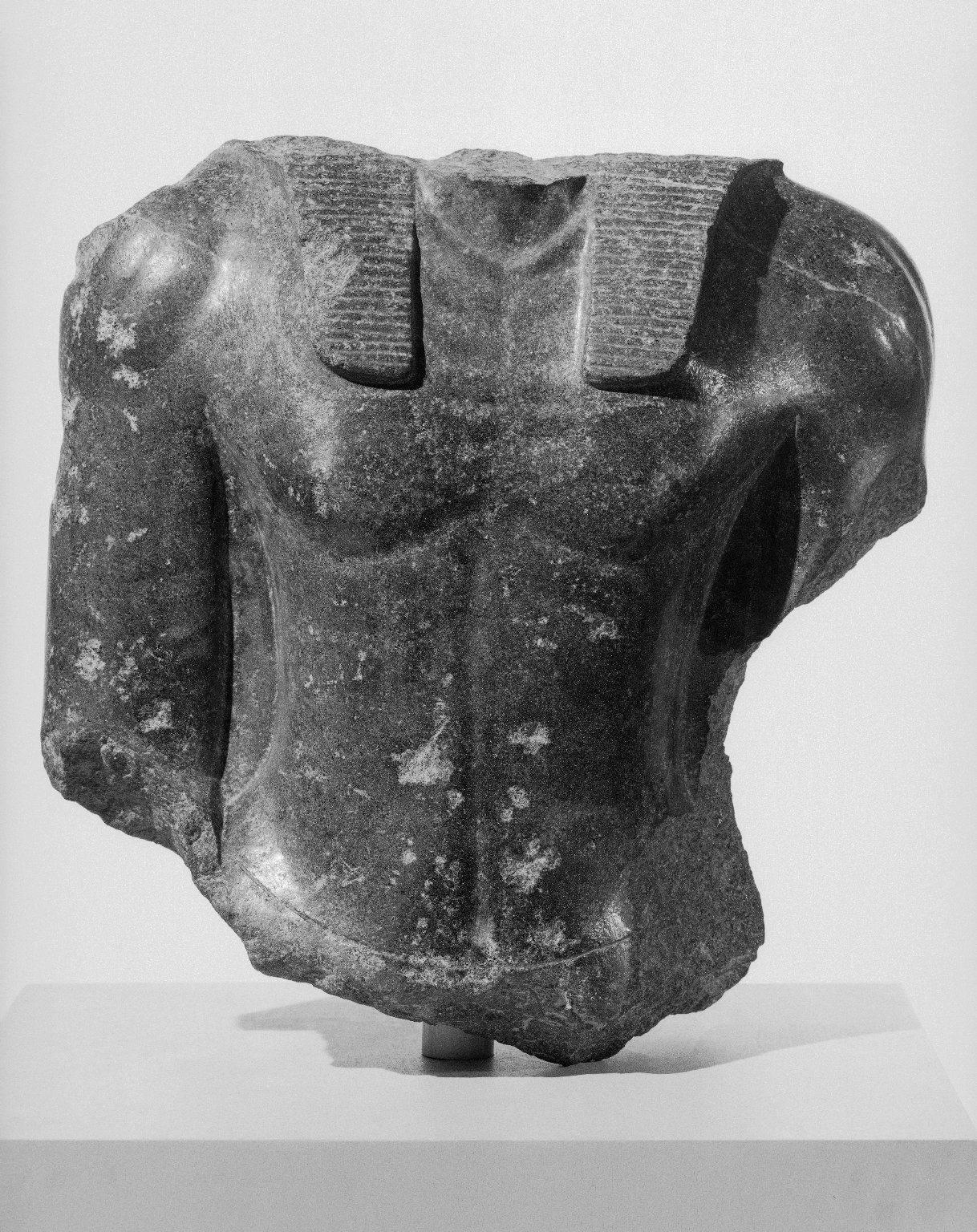 Royal Torso