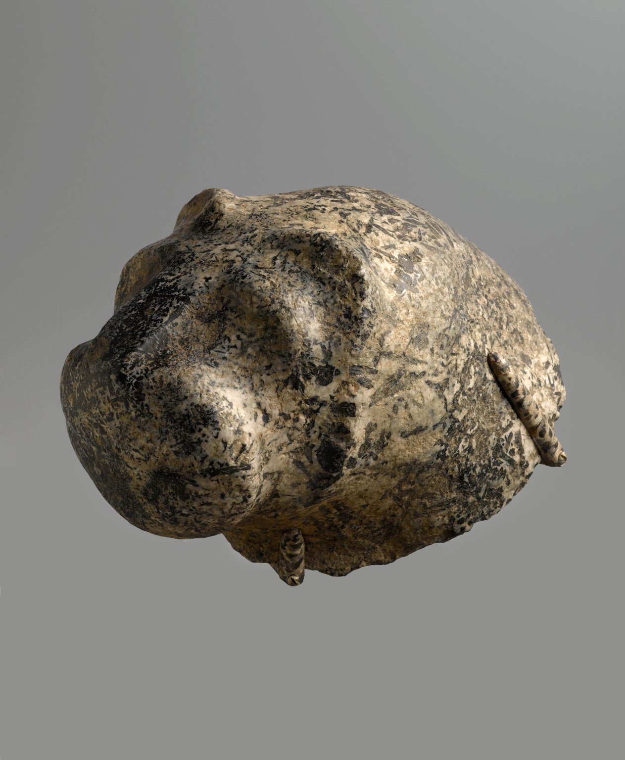 Head from a Statue of a Lion