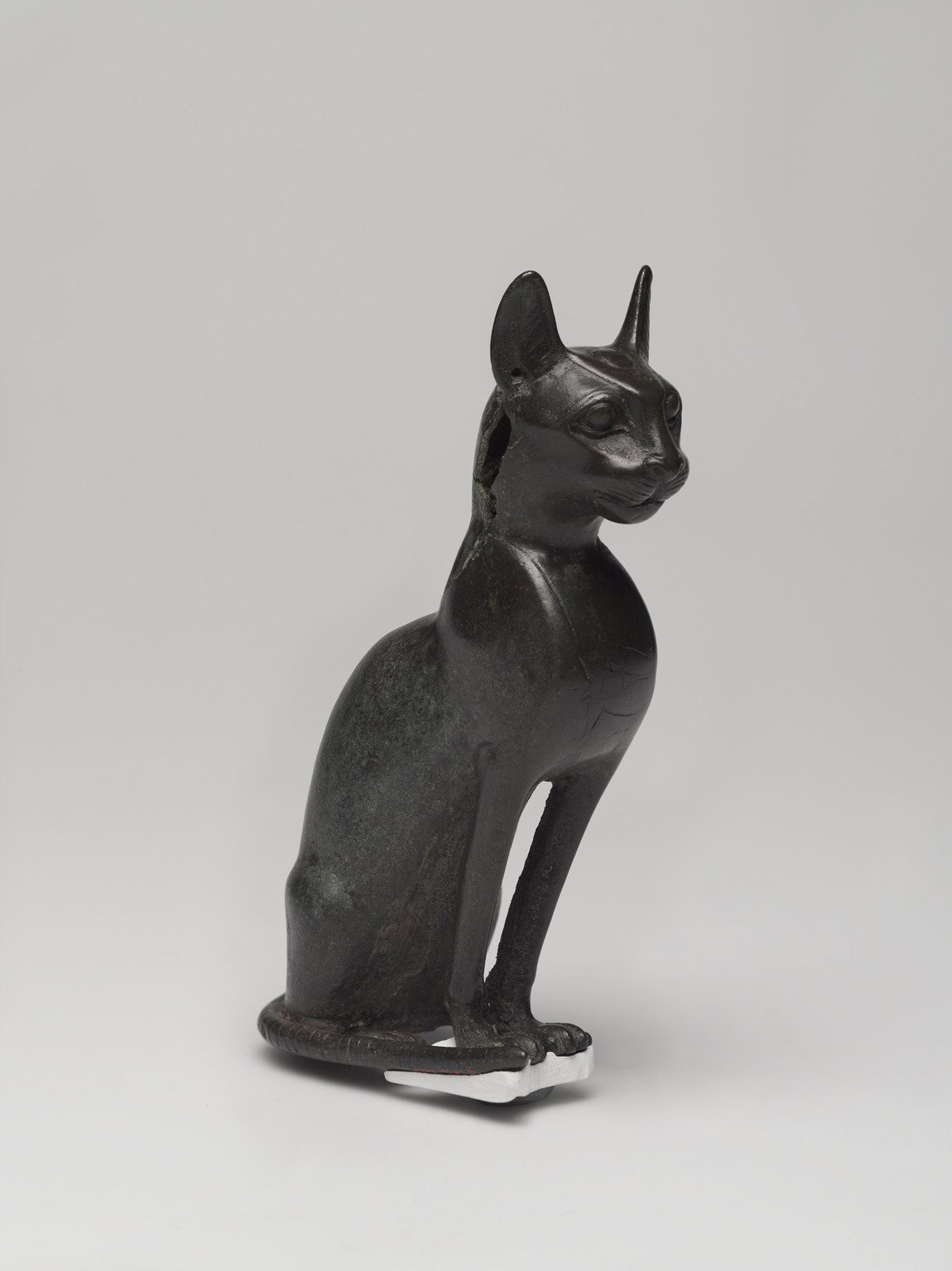 Seated Cat · Brooklyn Museum