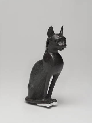 Seated Cat