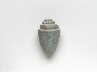 Model Shell