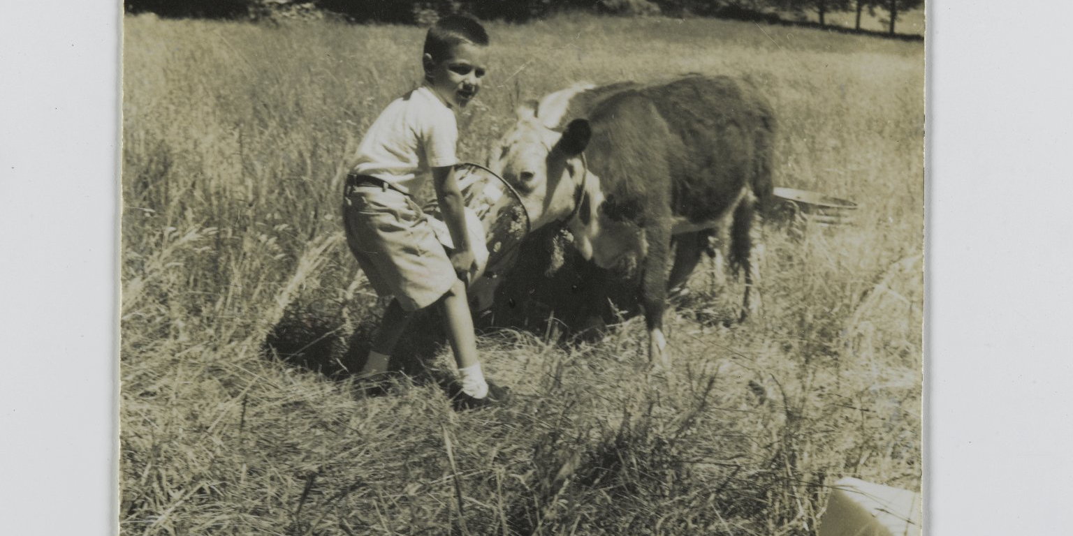 [Untitled] (Boy Feeding Cow) · Brooklyn Museum